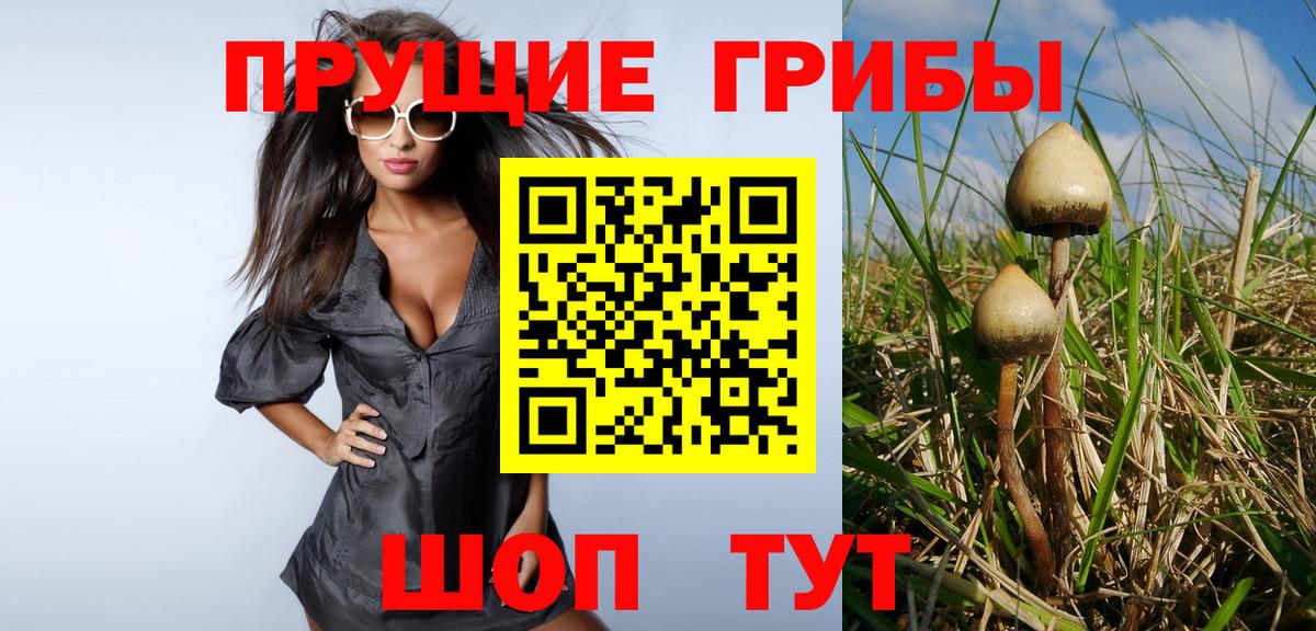 Галлюциногенные грибы Magic Shrooms Уфа